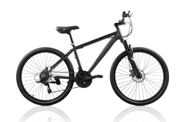 GT Peace Single Speed 